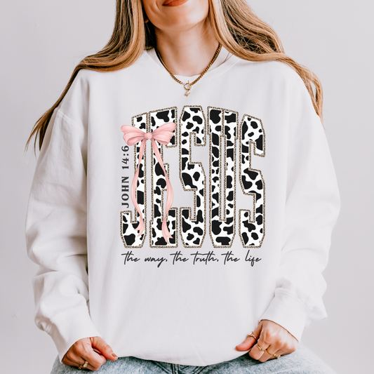 Jesus Sweatshirt – John 14:6 Christian Comfort Colors® Sweatshirt
